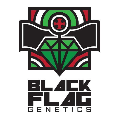 Logo Black Flag Genetics