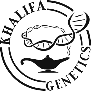 Logo Khalifa Genetics