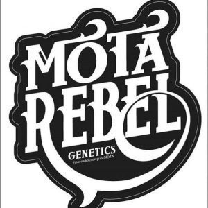 Logo Motarebel