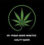 Logo Mr. Green Jeans Genetics