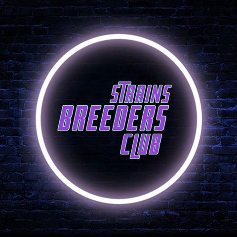 Logo Strains Breeders Club