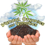 Logo Vandal Genetics