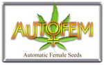 Logo AutoFem Seeds