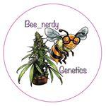 Logo Bee Nerdy