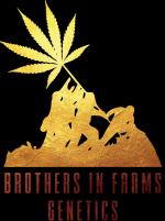 Logo Brothers In Farms