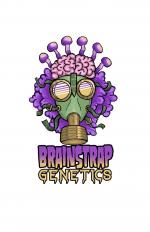 Logo Brainstrap Genetics