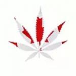 Logo Canadian Cannabis Genetics