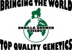 Logo Gorrilla Grower Seeds