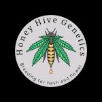 Logo Honey Hive Genetics