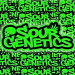 Logo Sour Genetics