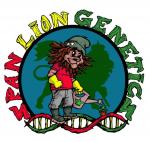 Logo Span Lion Genetics