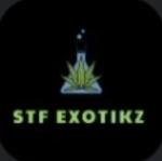 Logo STF Exotikz