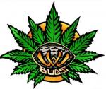 Logo VW Buds