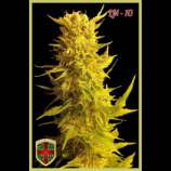 All-in Medicinal Seeds LM-10