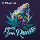 Atlas Seed Super Sour Runtz