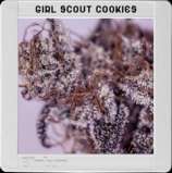 Blim Burn Seeds Girl Scout Cookies