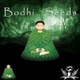 Bodhi Seeds Blueberry Hill