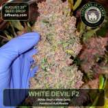 Brothers In Farms White Devil