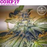 Cultivated Choice Genetics COHP17