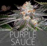 Exclusive Seeds Purple Sauce