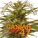 Family Ganjah Ganjah Auto 47