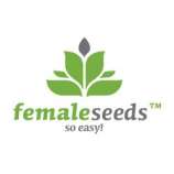 Female Seeds Auto Haze