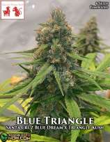 Goat and Monkey Seeds Blue Triangle