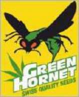 Green Hornet Jungel Jerrys Haze