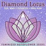 Happy Bird Seeds Diamond Lotus