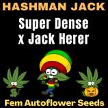 Happy Bird Seeds Hashman Jack
