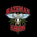 Hazeman Seeds Black Russian