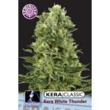 Kera Seeds White Thunder