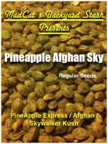 MadCat's Backyard Stash Pineapple Afghan Sky