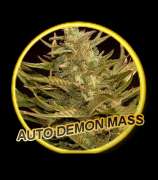 Mr. Hide Seeds Auto Demon Mass