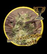 Mr. Hide Seeds Mr. Jekyll Kush