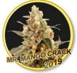 Mr. Hide Seeds Mr. Mango Crack