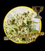 Mr. Hide Seeds Mr. Mother Earth