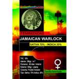 Nativa Seeds Jamaican Warlock