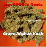 New420Guy Seeds Grape Afghan Kush