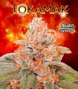 Nuka Seeds Tokamak
