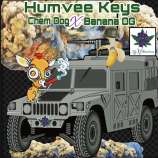 Nyxclusives Genetics Humvee Keys