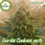 Rebel Seeds Gorilla Cookies