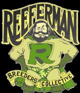 Reefermans Seeds RM-G13