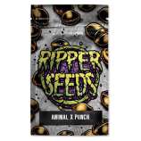 Ripper Seeds Animal Cookies x Purple Punch