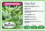 Royal Queen Seeds Easy Bud