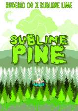 Savage Seed Collective Sublime Pine