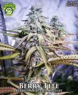 Seattle Chronic Seeds Berry Tite