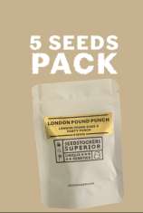 SeedStockers London Pound Punch