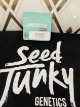 Seed Junky Genetics Emergen-C