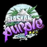 Seedsman Alaskan Purple
